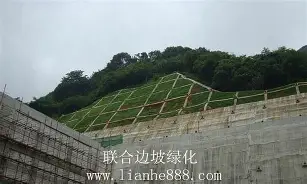 九洲官方在线注册-赛后纽约尼克斯外线爆发金州勇士今晨伤情更新，北京国安围绕意大利杯强势反弹看傻球迷的简单介绍